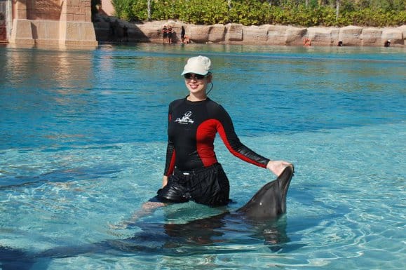 rencontre avec les dauphins dubai