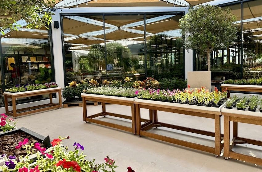 Où acheter des plantes à Dubai