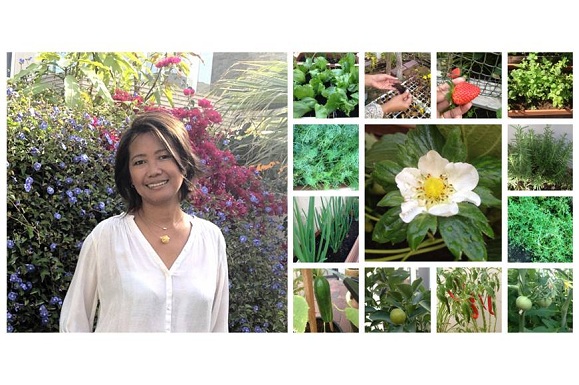  Patty Gay nous livre ses secrets: cultiver ses propres fruits et légumes… à Dubai