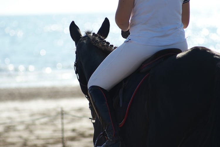  Série sport : Je me (re)mets à l’équitation à Dubai !