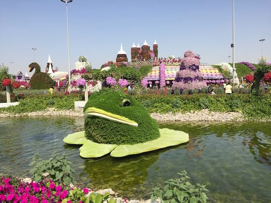 Dubai Miracle Garden