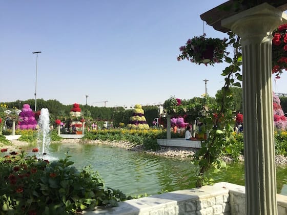 Dubai Miracle Garden