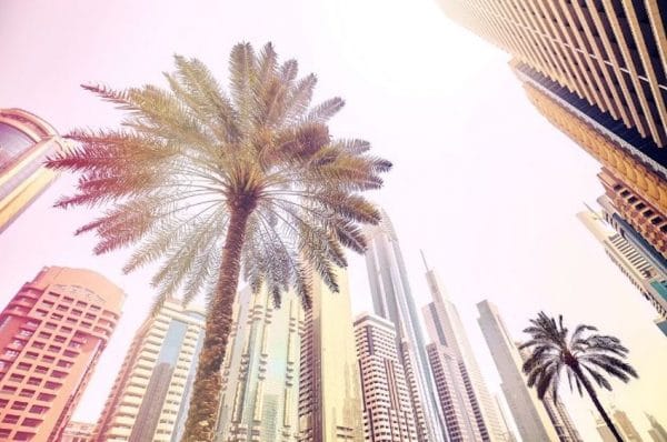 Chercher un emploi à Dubai : tout ce qu’il faut savoir !
