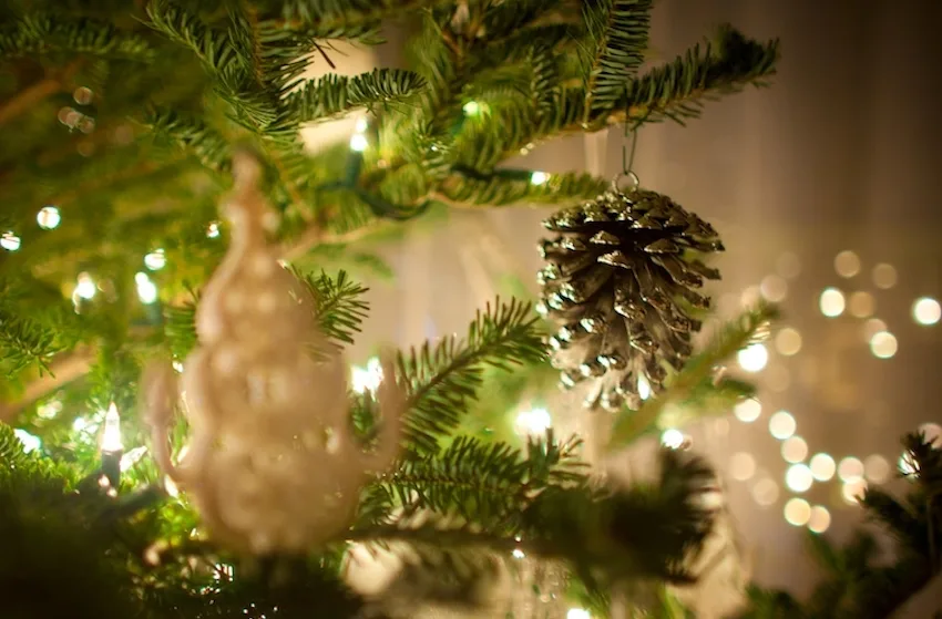 Où trouver un vrai sapin de Noël à Dubai ?