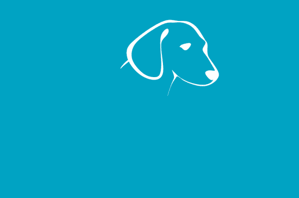 Comment ramener son chat/chien à Dubai ?