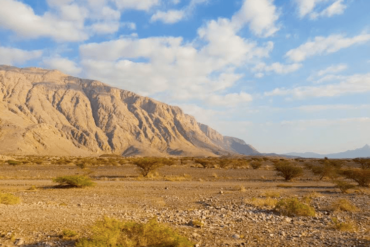 Al Ain Emirats Arabes Unis