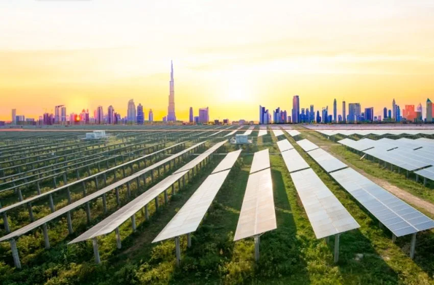 Environnement : consommer plus responsable à Dubai ?