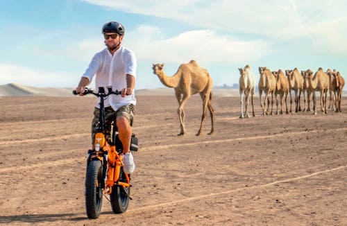 fat bikes dans le desert festive break