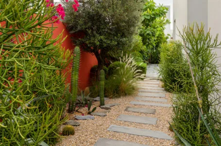 dubai service de paysagisme