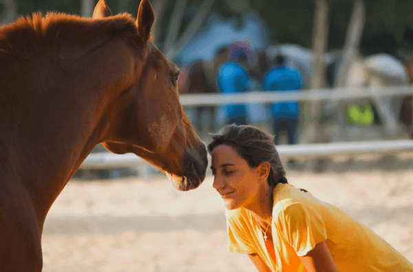 equicoaching à dubai