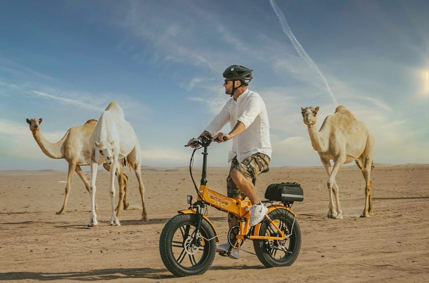 vélo à dubai