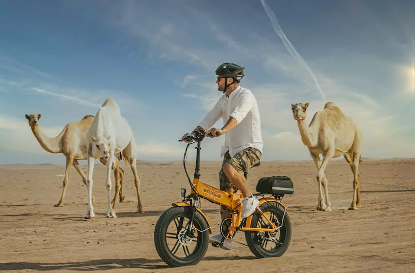 Le fatbike, une activité à découvrir dans le désert de Dubai !
