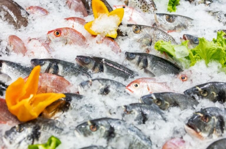 acheter du poisson à dubai