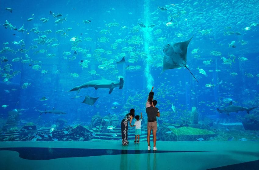 Lost chambre aquarium 