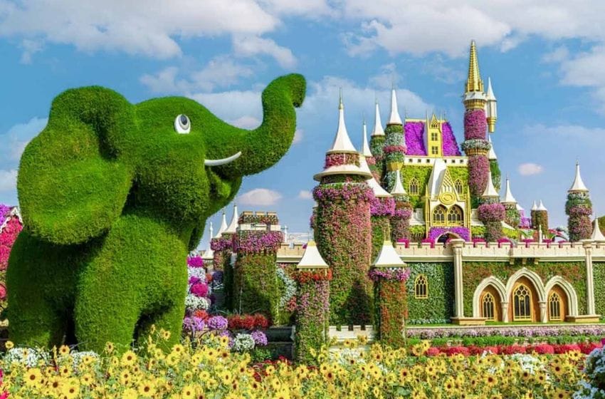 éléphant en fleur dubai