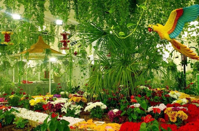 dubai Butterfly garden