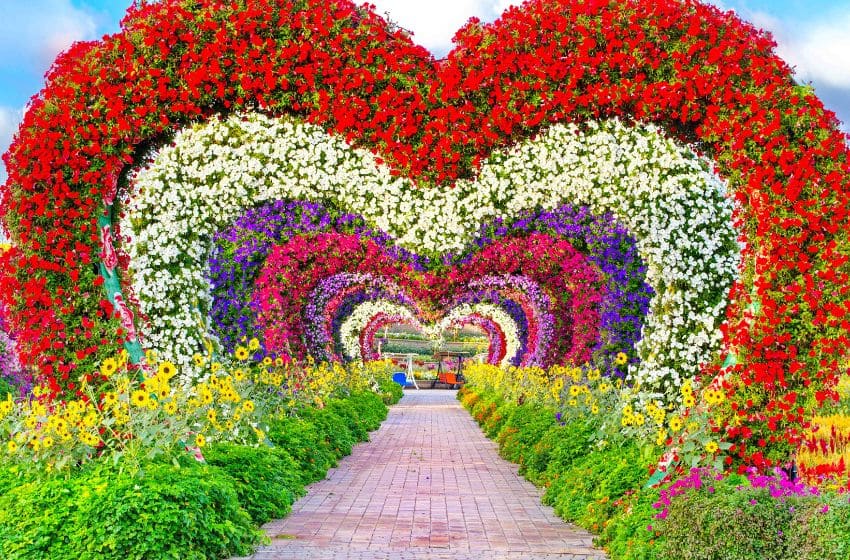 heart tunnel dubai