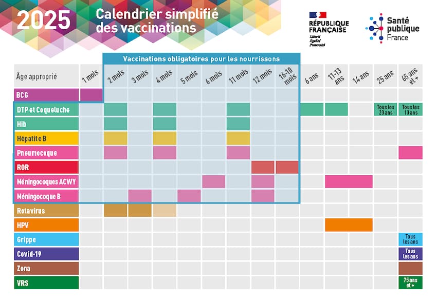 calendrier vaccination 