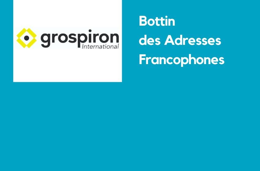 GROSPIRON INTERNATIONAL – Expert de la relocation à Dubai