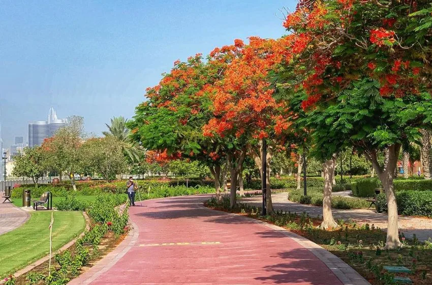 quartier al Barsha dubai