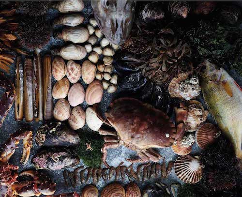 fruits de mer dubai