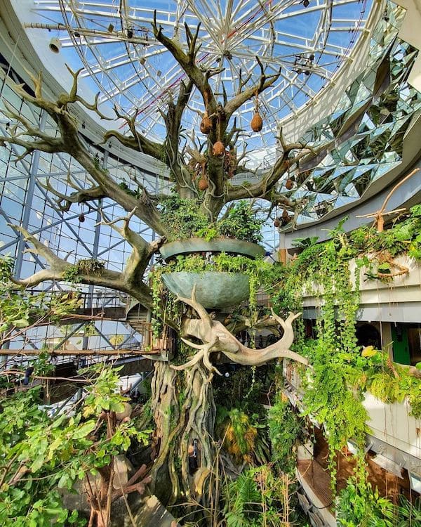 arbre géant dubai