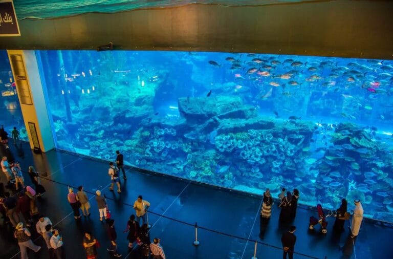 visiter l'aquarium dubai mal