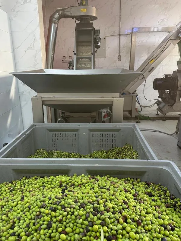 fabrique d'huile d'olive à visiter