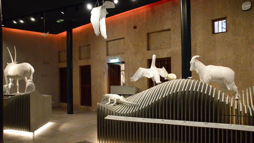 Visiter Al Shindagha Museum à Dubai