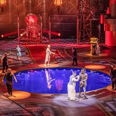 acrobatie spectacle immersif