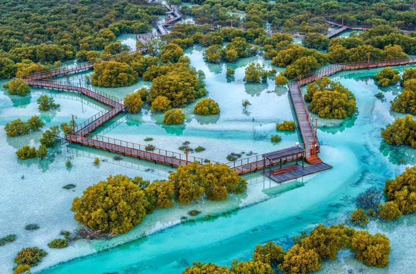 Abu Dhabi Jubail Mangrove Park