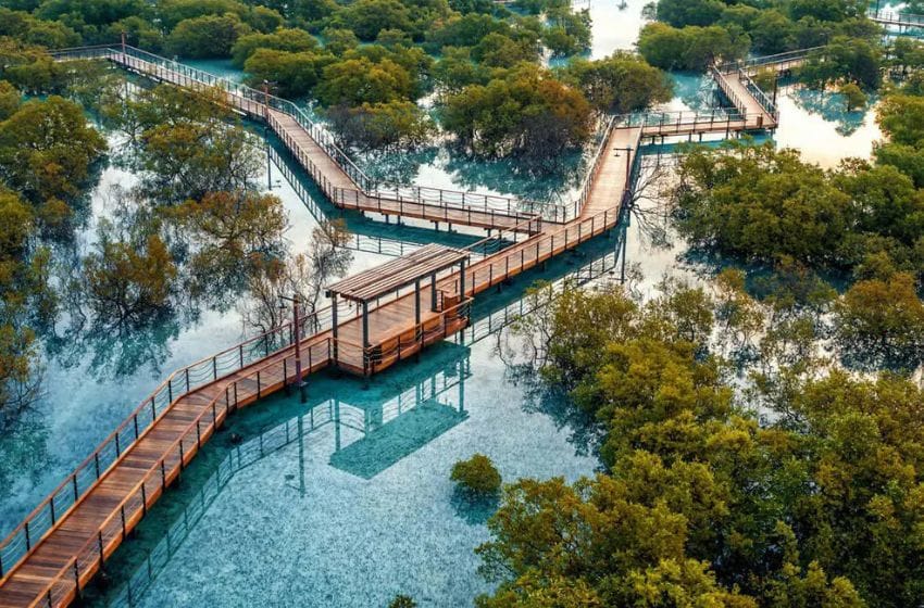 visiter les mangroves à abu dhabi