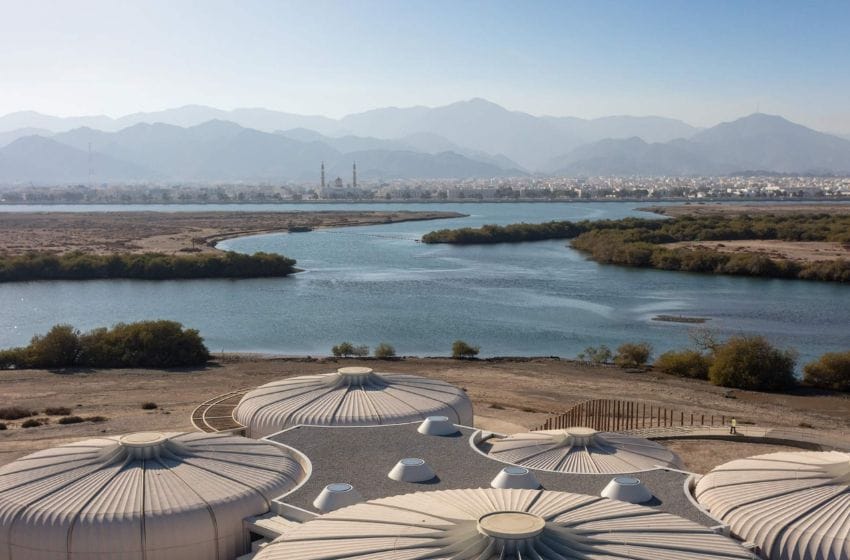 mangrove à sharjah à visiter