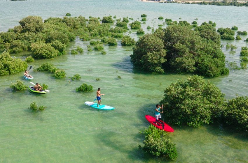 umm al quwain mangrove