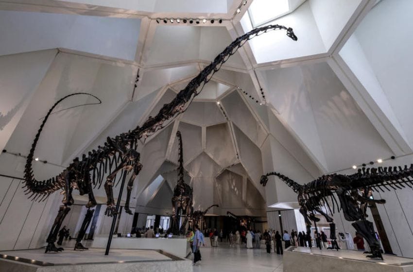 The Evolving World retrace l’Âge des dinosaures