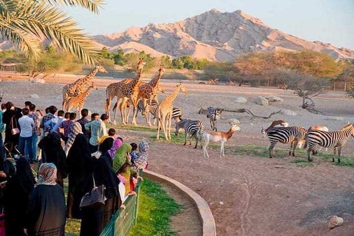 Al ain zoo