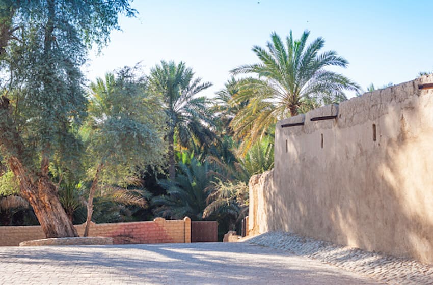 Al Jimi oasis visiter une palmeraie