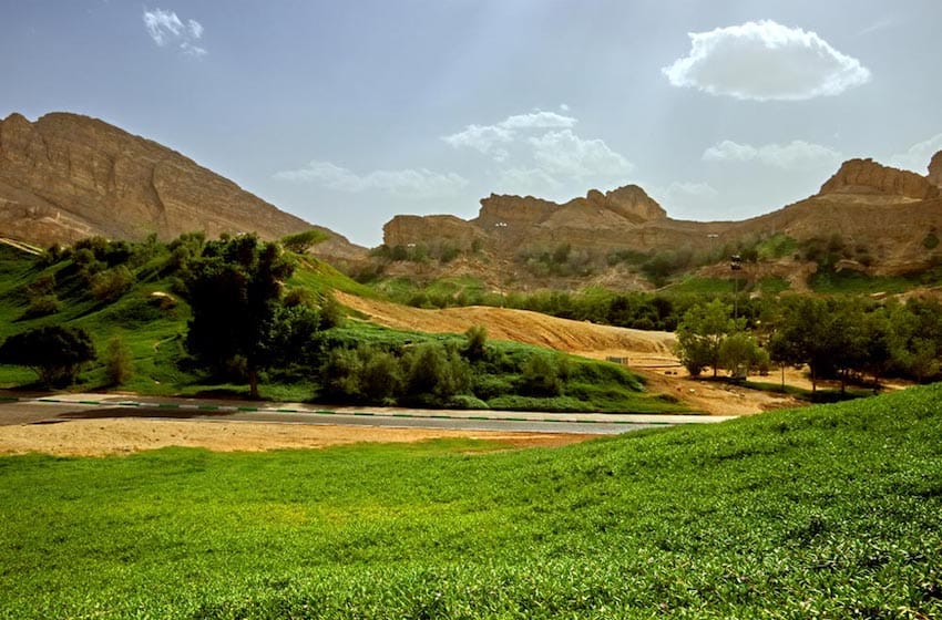 Green Mubazzarah